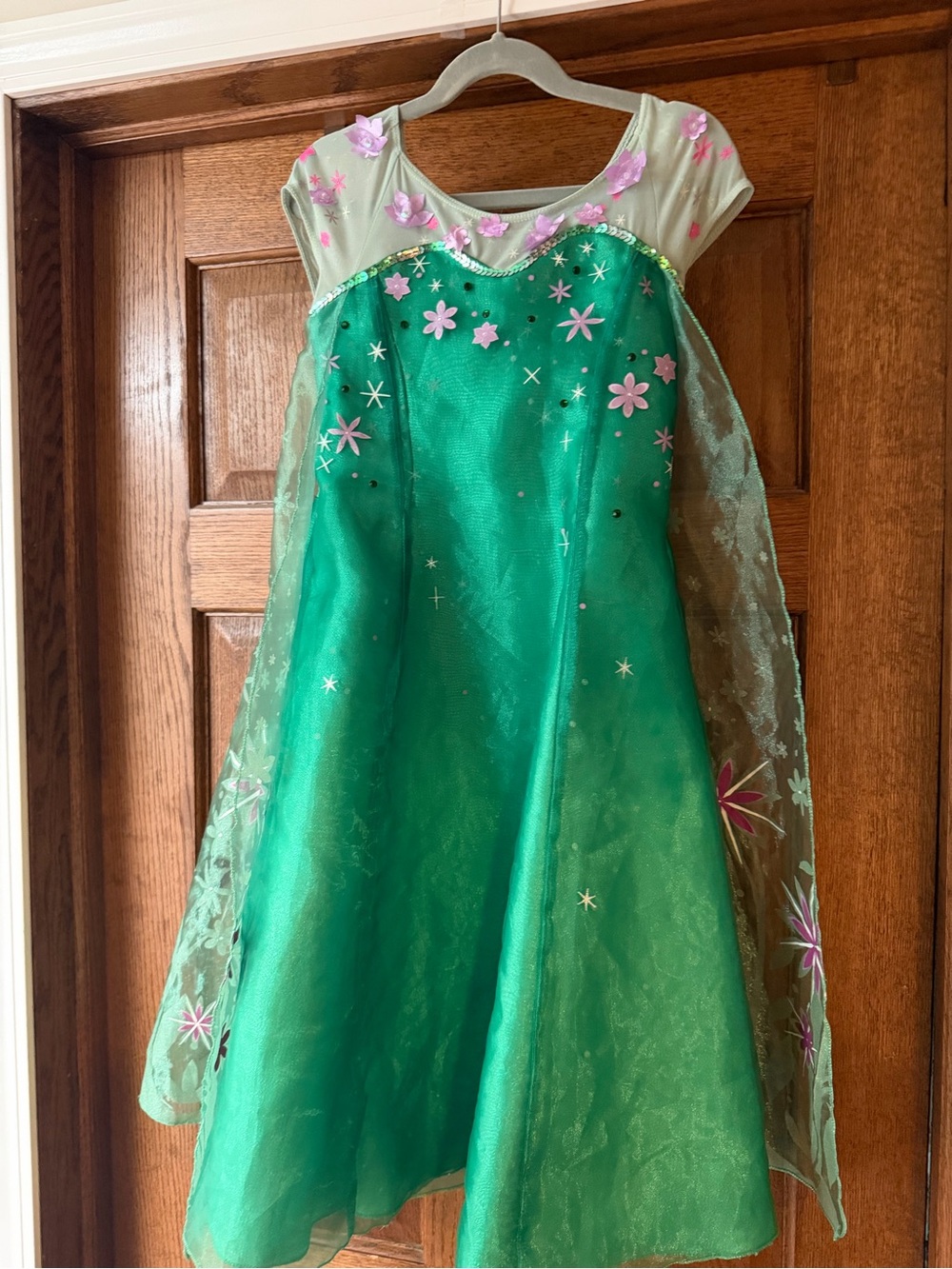 Green Floral Sparkle Princess Kids Costume Dress Disney